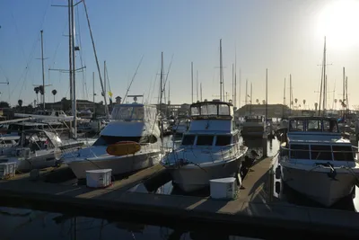 DSC_7228 (Large).JPG